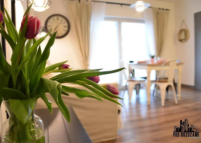Pod Brzozami 5 Morz Apartment *